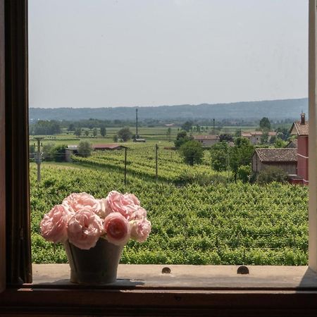 Fiori&Vigne Di Cecilia Marcon Villa Farra di Soligo ภายนอก รูปภาพ