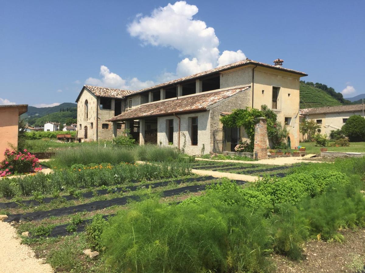 Fiori&Vigne Di Cecilia Marcon Villa Farra di Soligo ภายนอก รูปภาพ