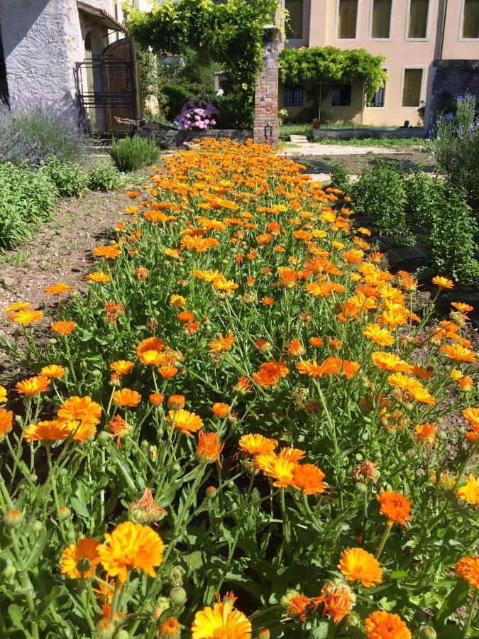 Fiori&Vigne Di Cecilia Marcon Villa Farra di Soligo ภายนอก รูปภาพ
