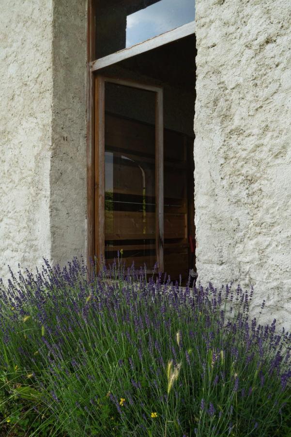 Fiori&Vigne Di Cecilia Marcon Villa Farra di Soligo ภายนอก รูปภาพ