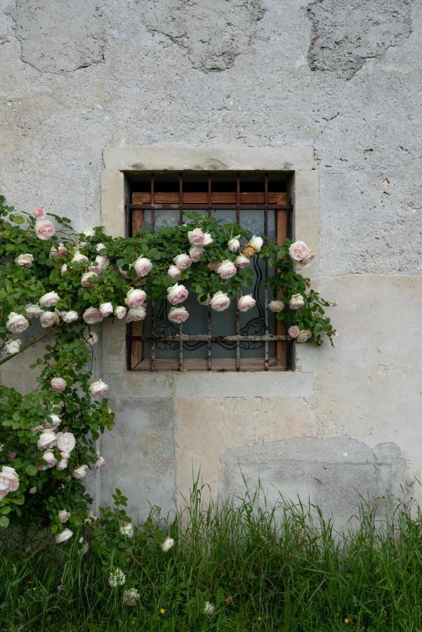 Fiori&Vigne Di Cecilia Marcon Villa Farra di Soligo ภายนอก รูปภาพ