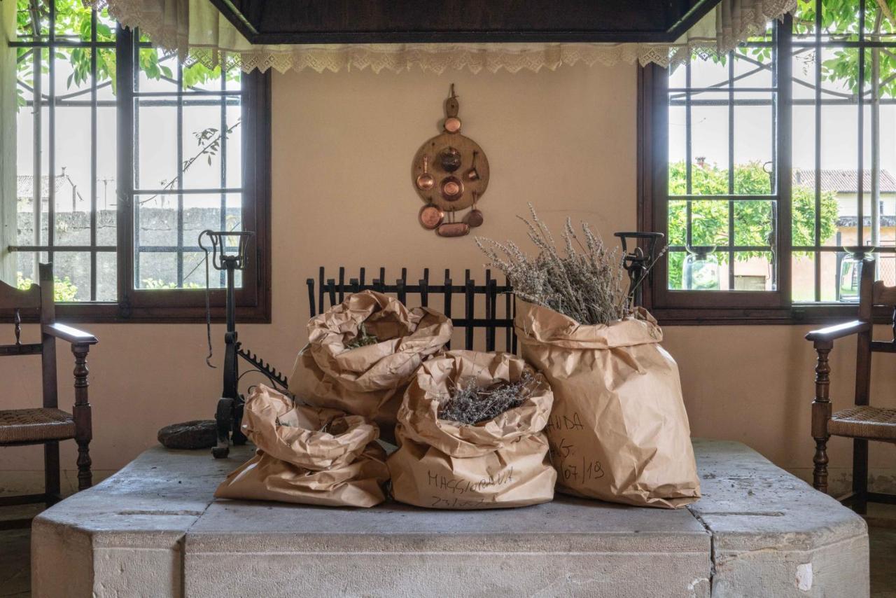 Fiori&Vigne Di Cecilia Marcon Villa Farra di Soligo ภายนอก รูปภาพ