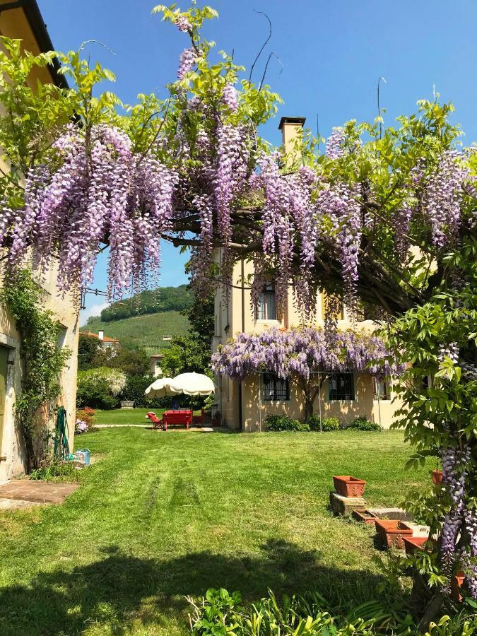 Fiori&Vigne Di Cecilia Marcon Villa Farra di Soligo ภายนอก รูปภาพ