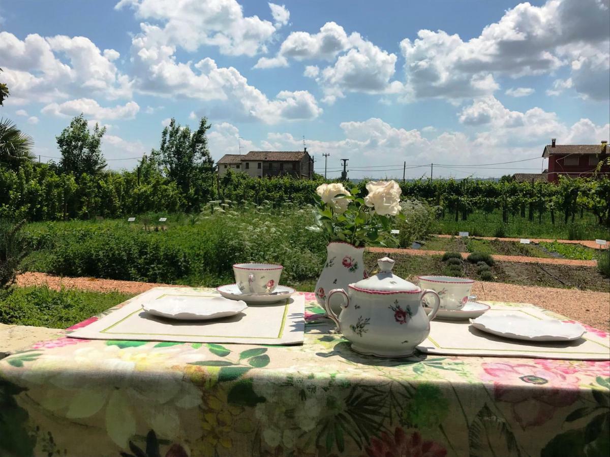 Fiori&Vigne Di Cecilia Marcon Villa Farra di Soligo ภายนอก รูปภาพ